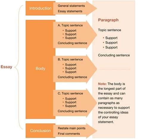 Steps of an essay. The structure of your expository essay will vary according to the scope of your assignment and the demands of your topic. It’s worthwhile to plan out your structure before you start, using an essay outline. A common structure for a short expository essay consists of five paragraphs: An introduction, three body paragraphs, and a conclusion. 