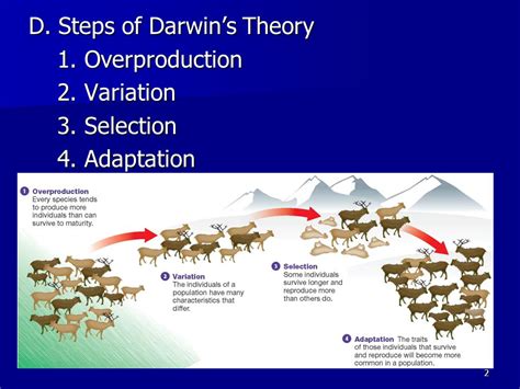 Darwin's process of natural selection has four components. Variation. Organisms (within populations) exhibit individual variation in appearance and behavior. Inheritance. Some traits are consistently passed on from parent to offspring. High rate of population growth. Differential survival and reproduction.. 
