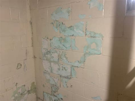 Steps to Prevent Mold After a Basement Flood