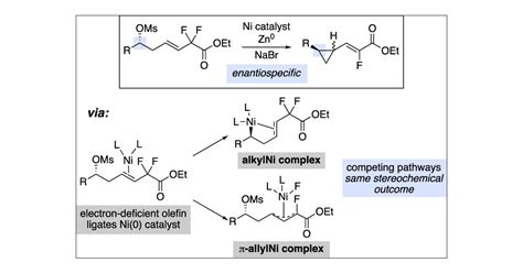 Stereospecific Synthesis of - ACS Publications: Chemistry …