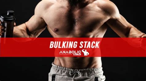 th?q=Steroid Cycle for Bulking | How Steroids Work | Anabolic Coach