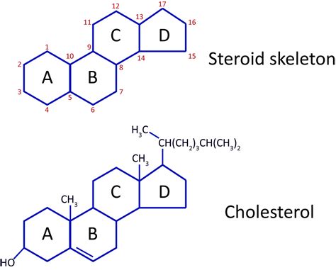 Steroids lipids examples.  Figure 12 5 1 Steroids.  Examples of such solvents incl...