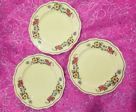 Steubenville ivory plates. 2 Vintage 9 STEUBENVILLE IVORY PLATES with YELLOW, PINK, PURPLE TULIP FLORAL DESIGNIn vintage condition. One plate has a crack and a chip on the front. Other plate has chip front and on back edge.Bot 