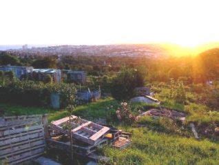 Steve Bell: Council must sort Brighton and Hove allotments