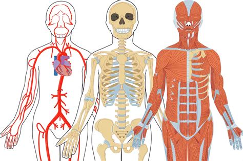 Stickningar i kroppen 1177