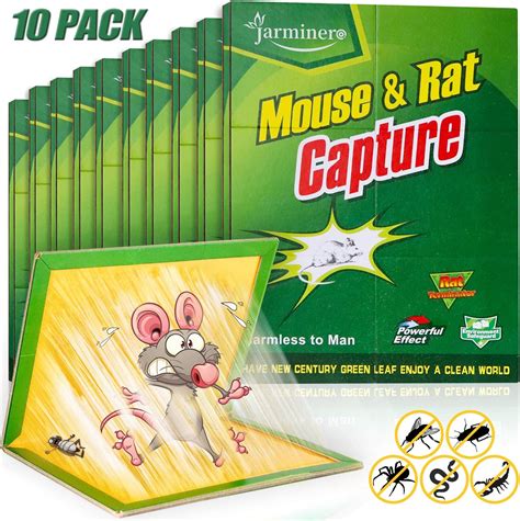 Sticky mouse trap. Buy 6pcs Mouse Sticky Trap Glue Mouse Trap for Rats Mice Snake Chipmunk Rodent online on Amazon.eg at best prices. Fast and Free Shipping Free Returns Cash on Delivery available on eligible purchase. 