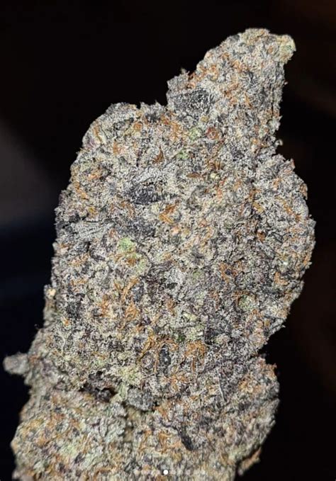 Ricky Bobby (AAAA) 4.69 out of 5. $ 23.00 – $ 113.00. Ricky Bobby OG, also known simply as “Ricky Bobby,” is an indica dominant hybrid strain (70% Indica / 30% Sativa) created through crossing the potent Tire Fire X Unicorn strains. Named for the iconic character in Talladega Nights, Ricky Bobby OG packs a soaring high that will come ...