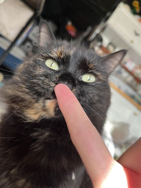 Stimky Leaked 🔥 [CLIP]