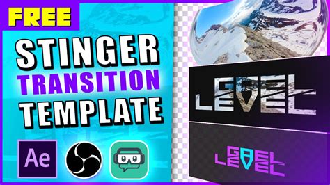 Stinger Transitions Premiere Pro Templates Motion Array