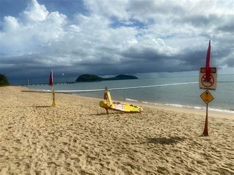 Stinger season - Palm Cove Beach, Palm Cove Traveller Reviews