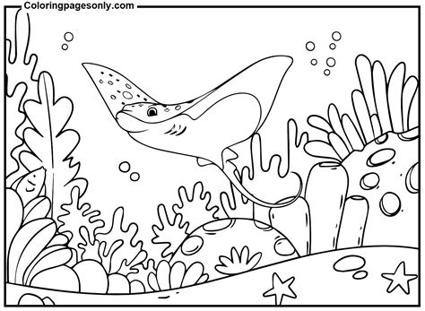 Stingray Coloring