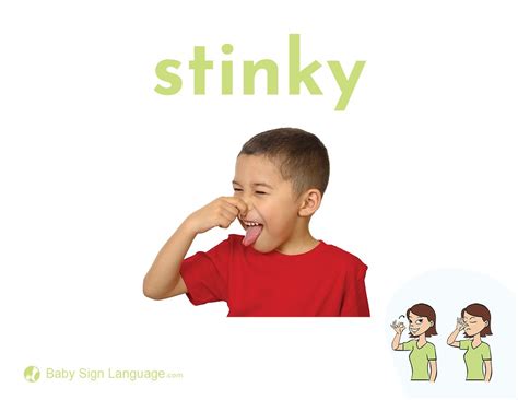 Stinky pronunciation male. Learn how to say 'stinky' in English with audio and example in sentences. 