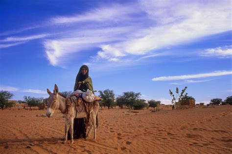 Stlcpl Leaks [SEX VIDEO] 🍆