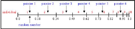 Stochastic universal sampling.  Instead of a single selection pointer employed in roulette w...