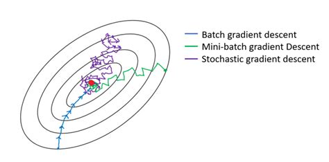 Stochastic-, Batch- und Mini-Batch Gradient Descent