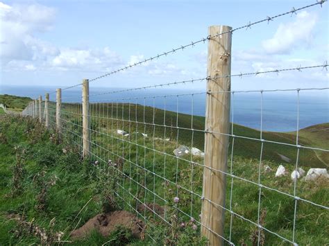 Stock fence posts. .  Buy In Bulk & Save 5% OFF Wood Posts when you buy 25+ Currently availa...