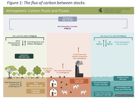 Sep 6, 2023 · Selon les méthodes utilisées, la mesure des stocks et flux de carbone des forêts peut passer du simple au double. À l'heure du dérèglement climatique, la guerre des chiffres bat son plein et ... . 