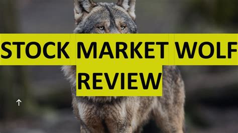 Stock market wolf. Things To Know About Stock market wolf. 