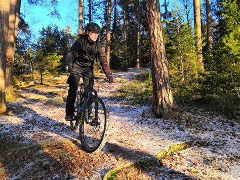 Stockholm: Forest Mountain Biking Adventure GetYourGuide