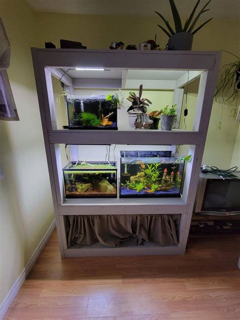 Stocking Levels : r/Aquariums - Reddit