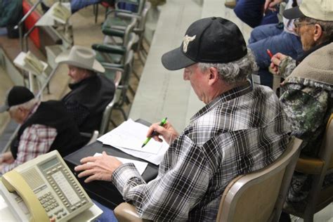 Stockmen's livestock exchange. STOCKMENS LIVESTOCK EXCHANGE TOP PRICES FROM STOCK COW & BRED HEIFER SALE Tuesday, January 16, 2024 400 hd sold. Author: Larry Schnell Created Date: 1/16/2024 12:48: ... 