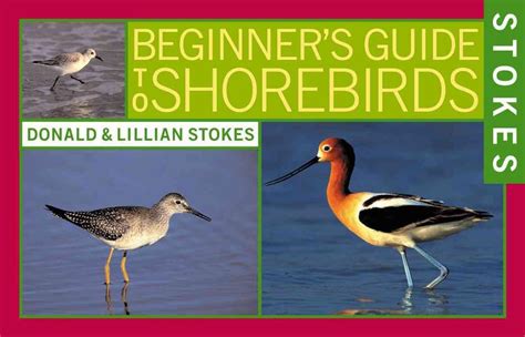 Stokes beginners guide to shorebirds by donald stokes. - Local natures global resposibilities ecocritical perspectives on the new english literatures.