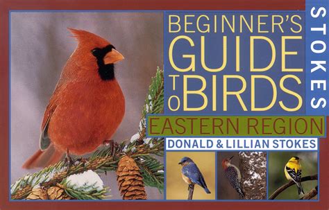 Read Online Stokes Beginners Guide To Birds Eastern Region By Donald Stokes