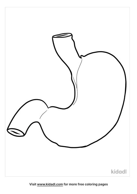 Stomach Coloring