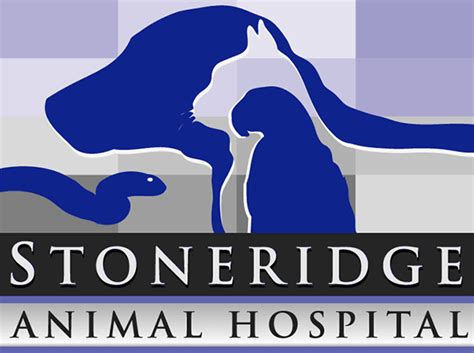 Stoneridge animal hospital. A small animal and exotic pet practice that offers laser surgery, therapy, radiology, medicine, wellness, vaccinations, dermatology, dentistry, spay, and neuter. … 