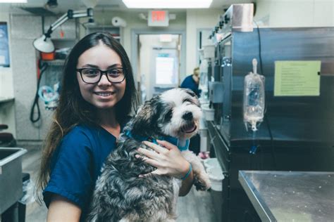 Stoney creek vet. May 31, 2018 · Book an appointment and read reviews on Pet Vet Eastside Hospital, 111 Hwy 8, Stoney Creek, Ontario with TopVet 