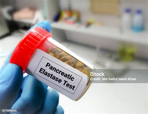 Stool Elastase - Testing.com / Getting a Diagnosis for EPI