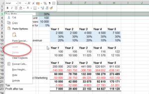 Stop Excel users from inserting or deleting rows • AuditExcel.co.za