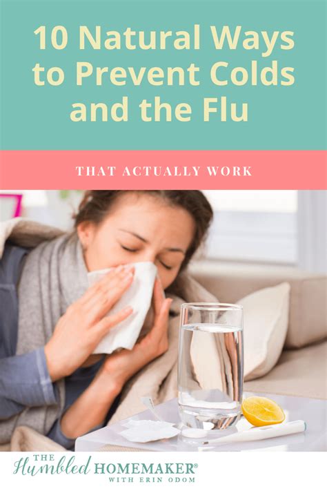 Stop colds and flu the natural way a comprehensive guide to drug free remedies appropriate for the entire family. - St teresa of avila the book of her foundations a study guide.