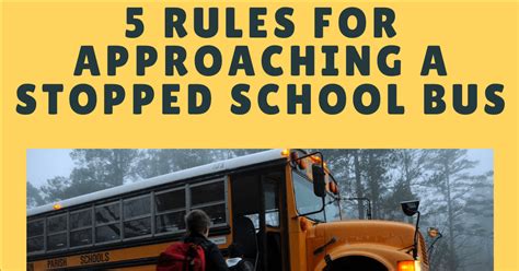 Stopping for school buses in Missouri & Illinois: What are the laws?