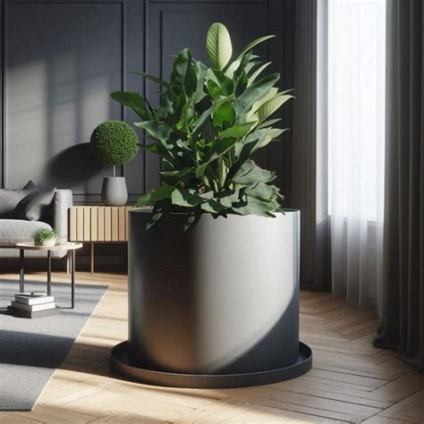 Stor kruka inomhus golv