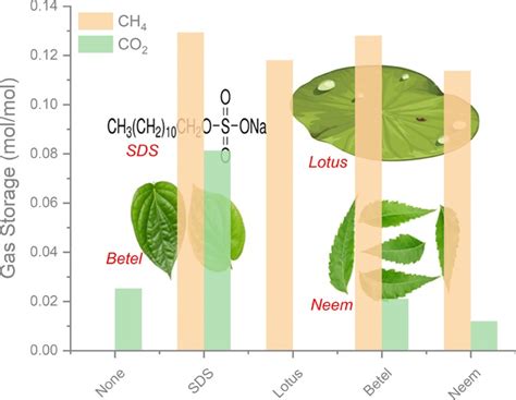 Storage of Methane Gas in the Form of Clathrates in the Presence …