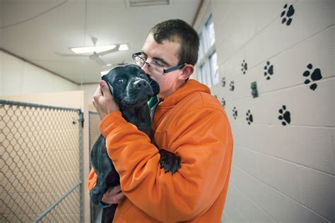 Store Animal Sheltering Online by The Humane Society of the United ...