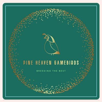 Store Policies Pine Heaven Gamebird