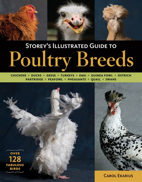 Storey s illustrated guide to poultry breeds chickens ducks geese turkeys emus guinea fowl ostriches partridges. - Manuale di tecnologia litica preistorica concetti metodi e tecniche.