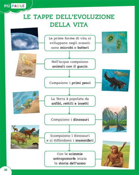 Storia dei miei volumi di vita 1 e 2. - How to cite a textbook with multiple authors in paper.