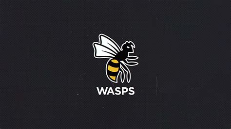 Storied rugby club Wasps forced to start again at bottom of English league pyramid