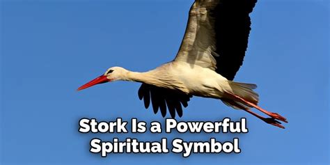 Stork Animal Totem Symbolism & Meanings - SunSigns.Org