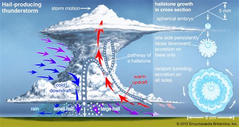 Storm Motion