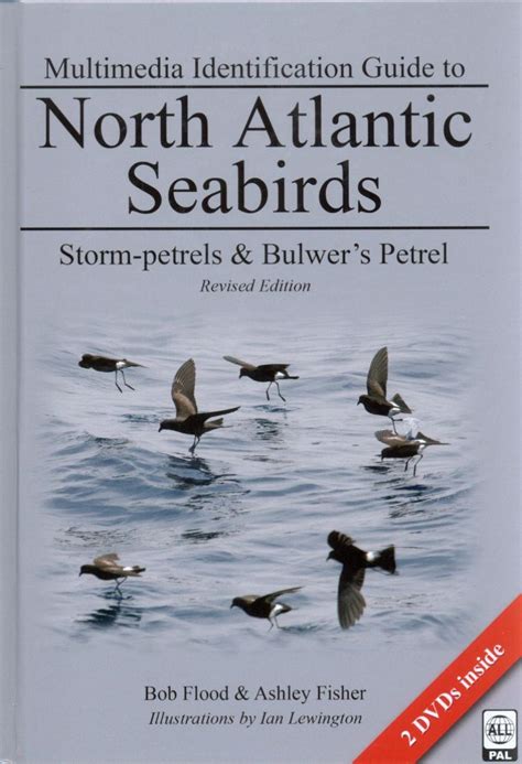 Storm petrels bulwers petrel north atlantic seabirds multimedia id guides to north atlantic seabirds. - 2014 artic cat wildcat maintenance repair manual.