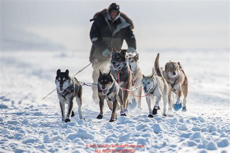 Story guide for the iditarod dream. - How to teach a handbook for clinicians shirley dobson.
