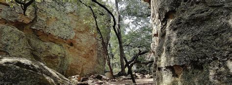 Storytelling Down In The Hollow — Texas Parks & Wildlife …