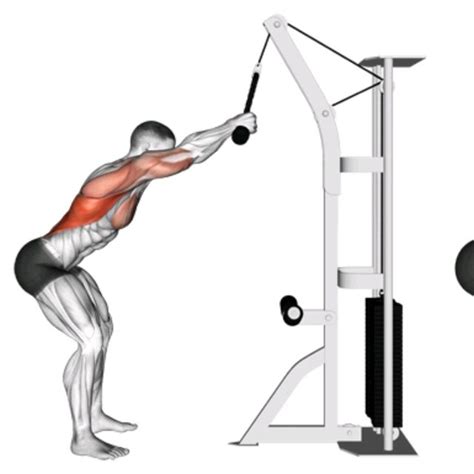 Straight arm lat pulldown. The straight arm lat pulldown is an essential exercise for people of all fitness levels. Muscles Worked By The Straight Arm Lat Pulldown Primary Muscle Groups: As you may have guessed, the straight arm lat pulldown primarily works your lats. Originating in the lower-mid back, the latissimus dorsi is the largest muscle of the back. … 