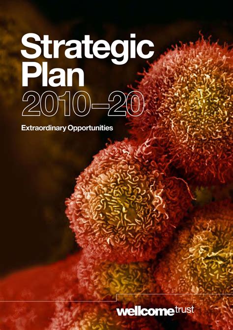 Strategic Plan 2010-20 by Wellcome Trust - Issuu