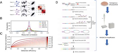 Strategies for achieving high-level expression of genes in