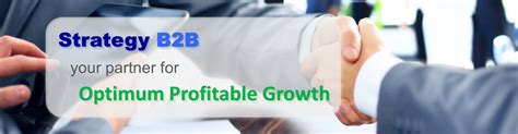 Strategy B2B – Profitable Growth Optimizers